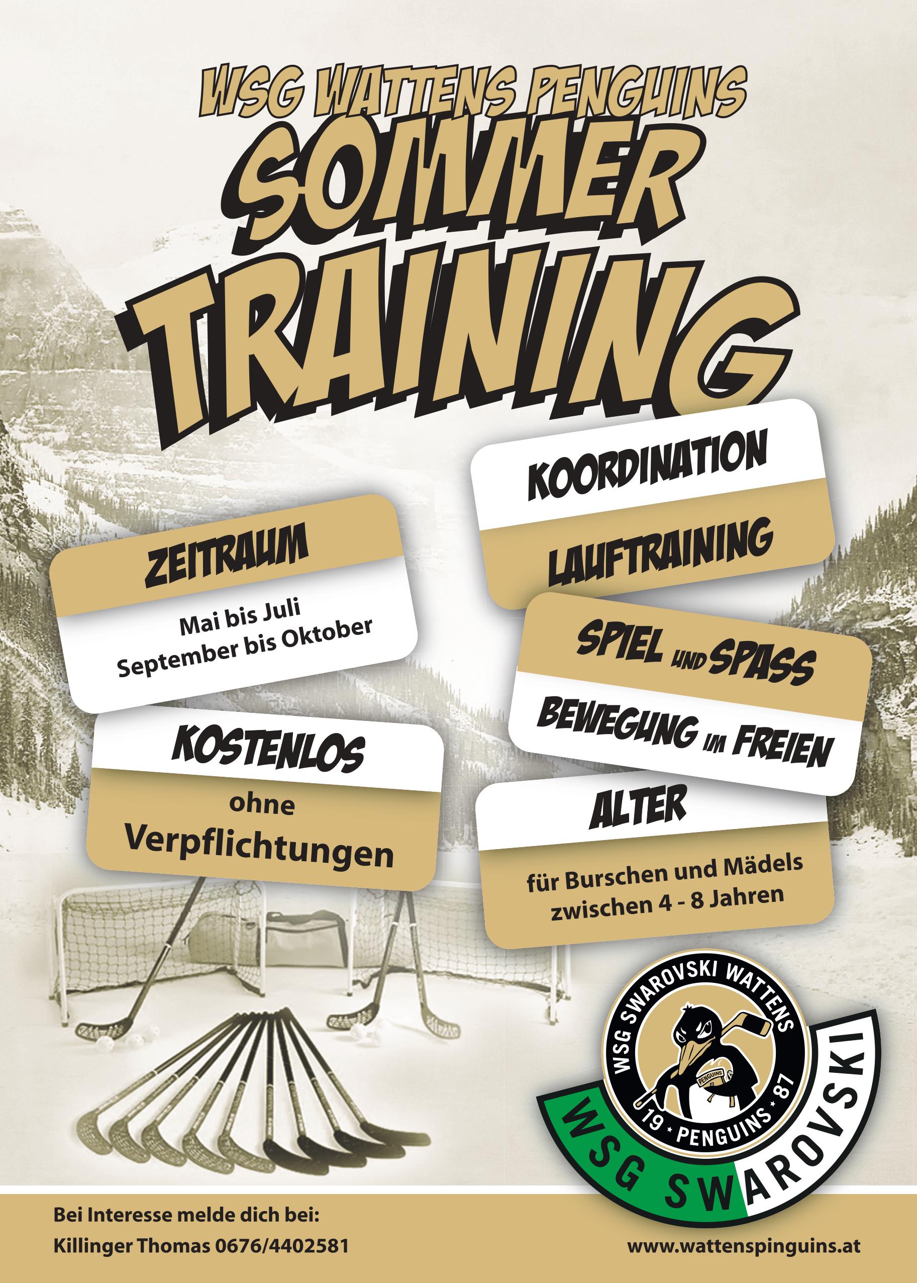 Eishockey lernen bei unseren Penguins