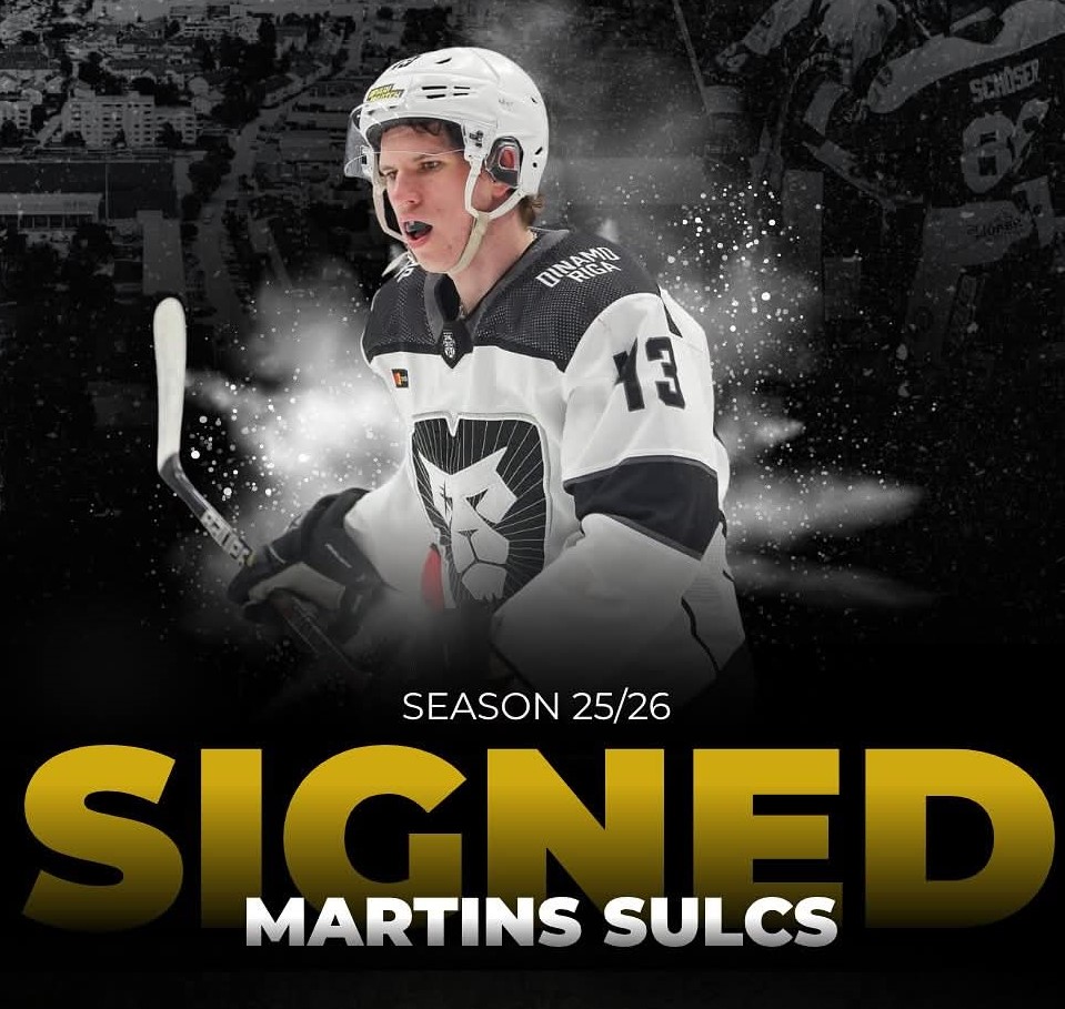 Martins Sulcs