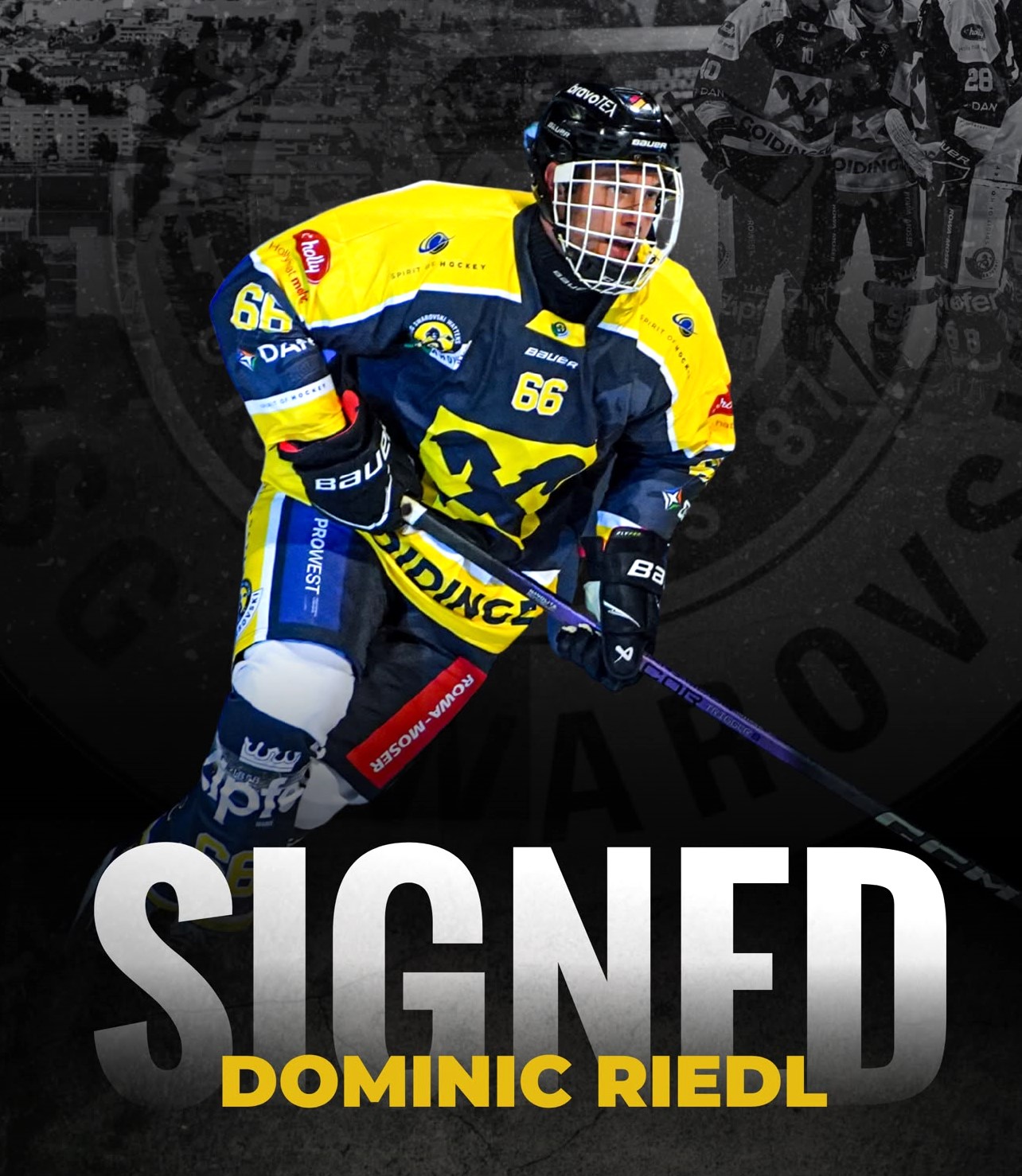 Dominic Riedl