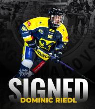 Dominic Riedl