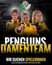 Damenteamsuche