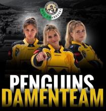Damenteam fix
