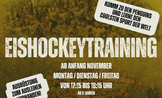 Prospekt Eishockey lernen